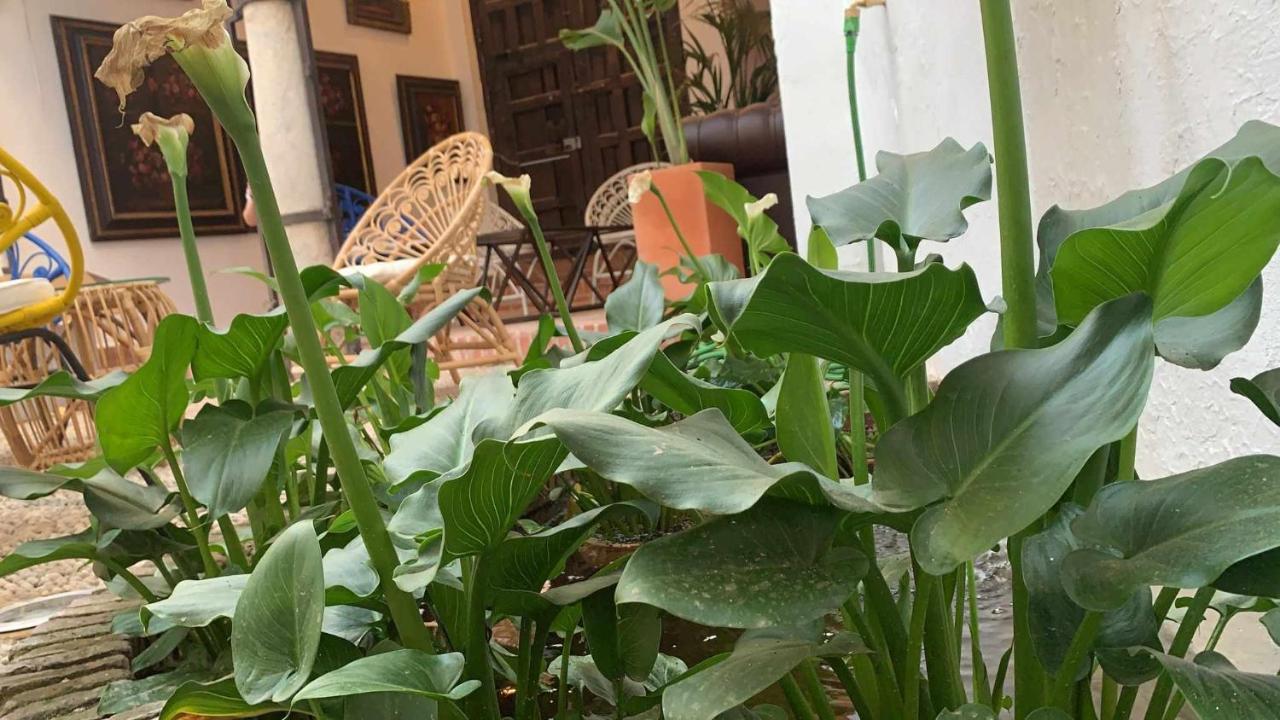 Apartamento Palacete Del águila 1