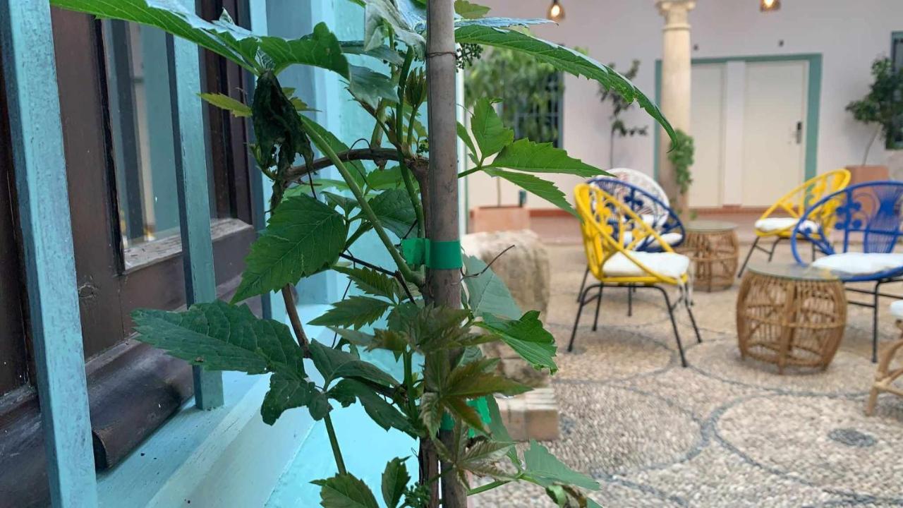Apartamento Palacete Del águila 1 *